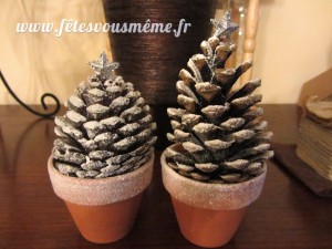 pomme de pin