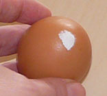 papier_sur_oeuf
