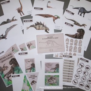 Kit Déco - Thème Jurassic - Fêtes vous même