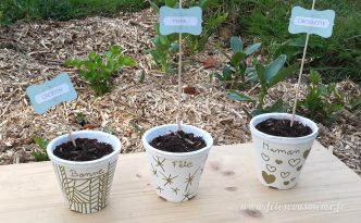 Aromates pour la Fête des Mères - Fêtes vous même