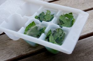 Remplissage Glaçons menthe fraîche - Fêtes vous même