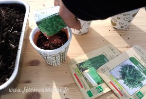 Aromates pour la Fête des Mères - semis - Fêtes vous même