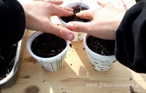 Aromates pour la Fête des Mères - tassage des semis - Fêtes vous même
