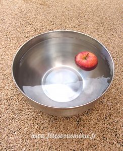 Animations Fête Foraine - Pommes Flottantes - Fêtes vous même