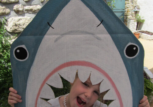 Thème Monde de la mer - Photobooth requin - Fêtes vous même
