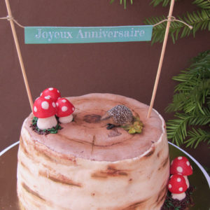 Banderole pour gâteau - Fêtes vous même