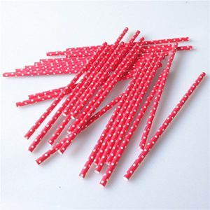 Pailles rouges à pois blancs - Fêtes vous même