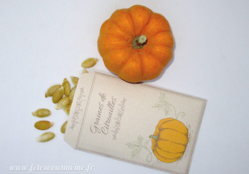 Graines de citrouille - Fêtes vous même