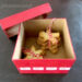 Box Cadeau Sablés de Noël - Fêtes vous même