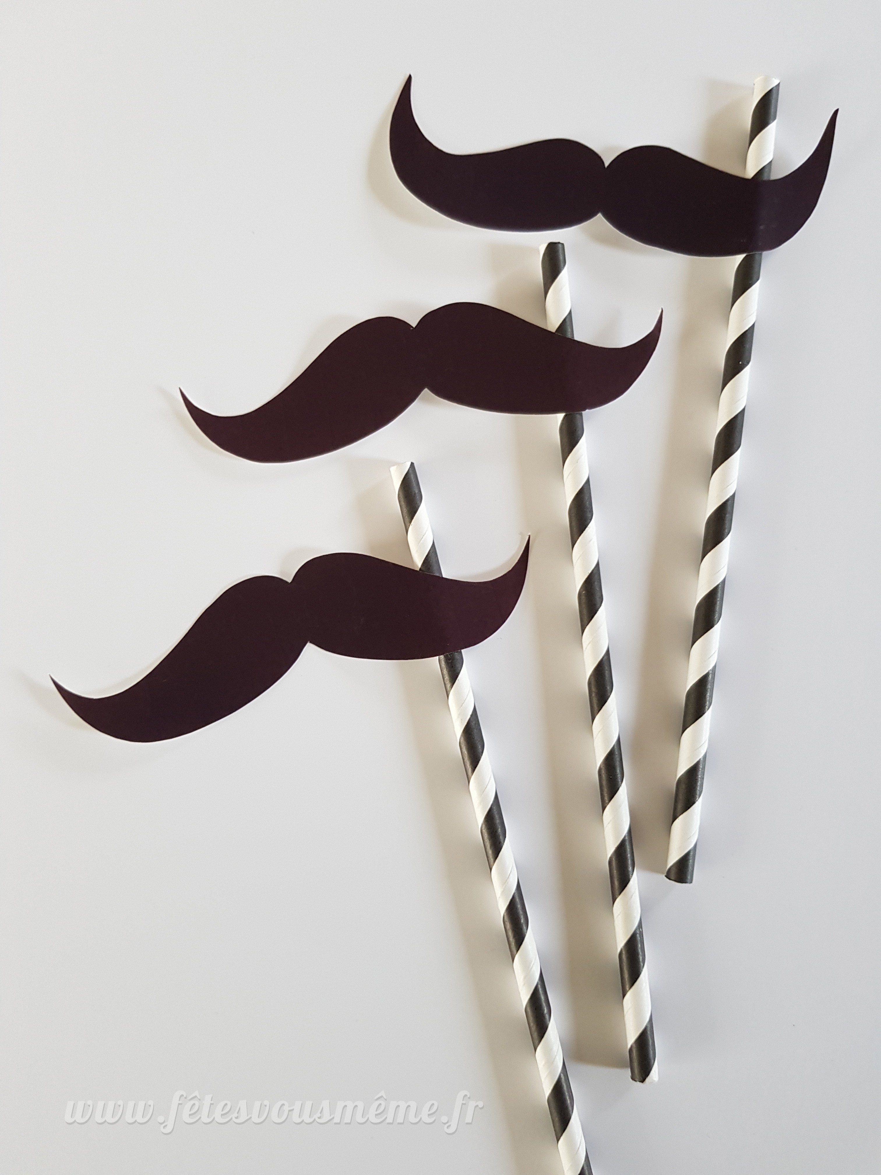 Pailles Moustaches - Photobooth (x10)