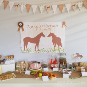 Kit déco "Poney-Club"