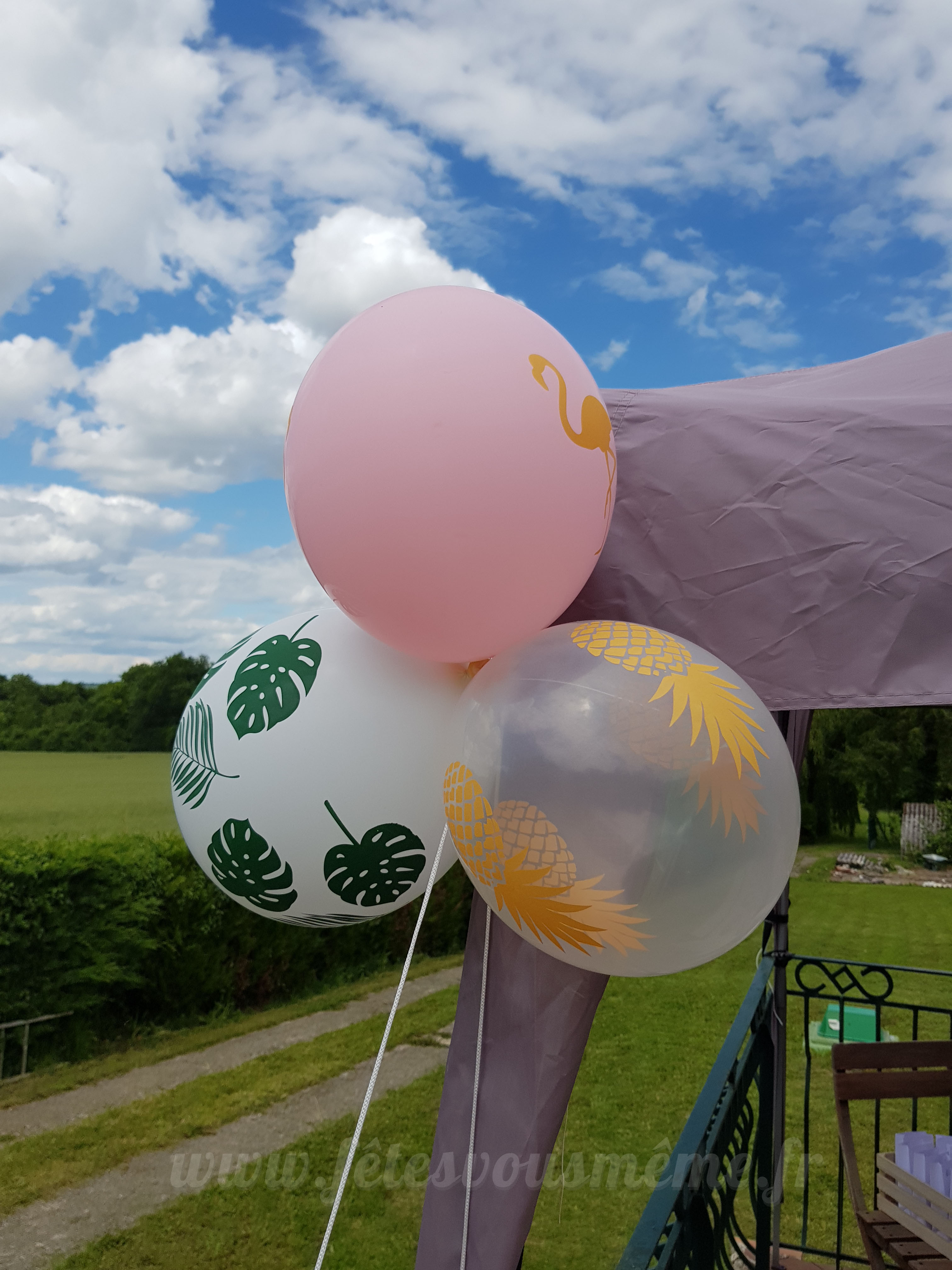 Ballons rose flamant – Image 2