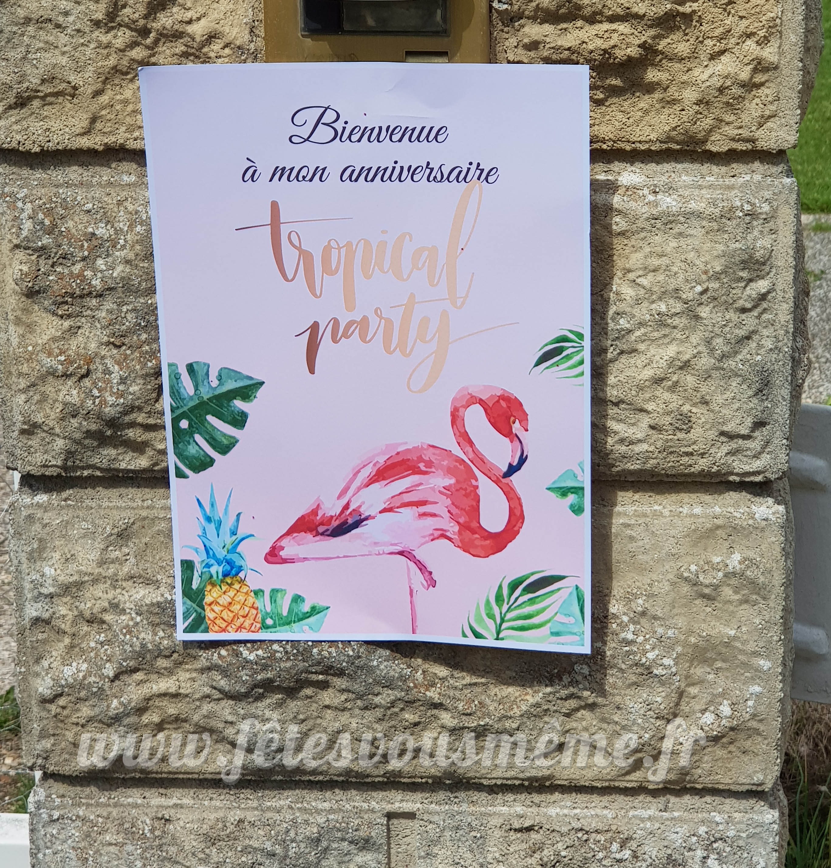 Kit déco "Tropical Party" – Image 8