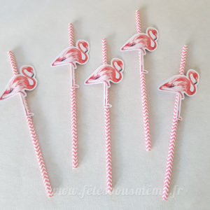 Pailles flamant rose (x10)