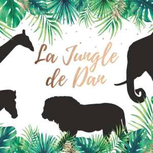 Affiches