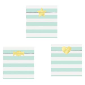 Sachets Papier rayures blanc & vert menthe
