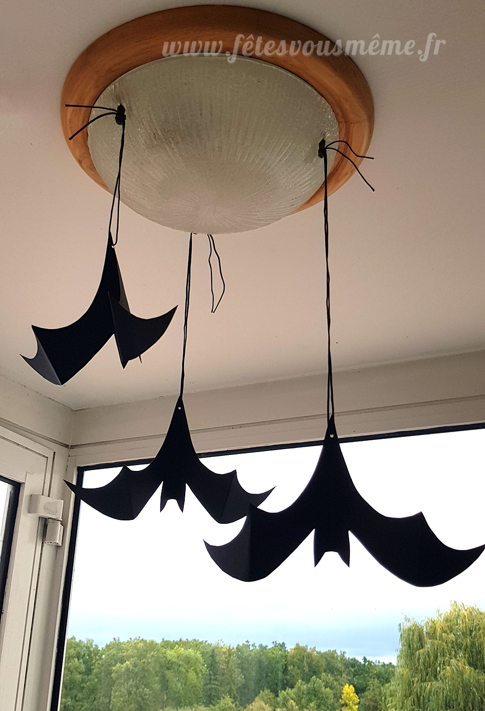Chauve-souris suspendues – Image 2