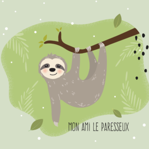 Mon ami le Paresseux